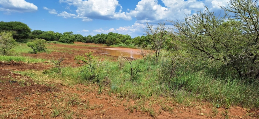 10 Bedroom Property for Sale in Swartruggens North West